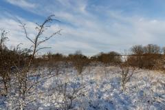 141228_12362700_7459_dxo_15969108828_o